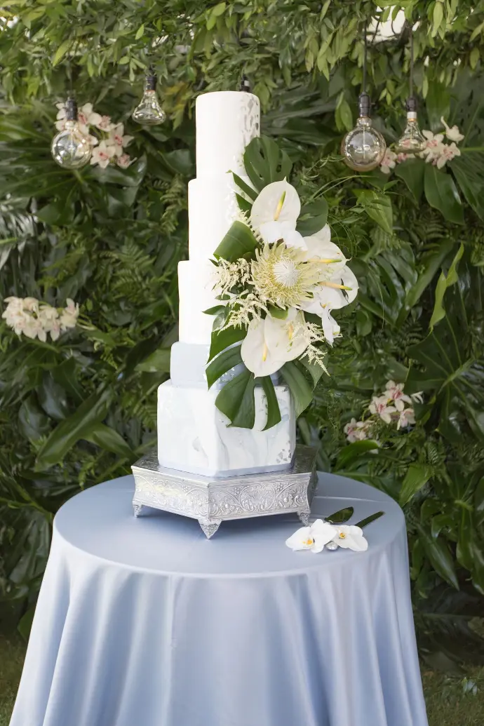 cakeflavors Confections Bakery